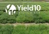 Yield10 Bioscience's omega-3 Camelina program transfers to Nufarm