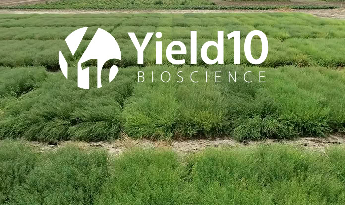 Yield10 Bioscience's omega-3 Camelina program transfers to Nufarm