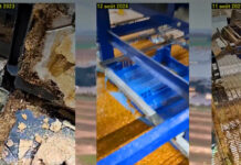 Ynsect case sparks debate over industrial-scale insect farming