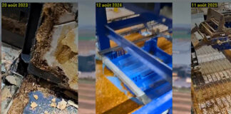 Ynsect case sparks debate over industrial-scale insect farming