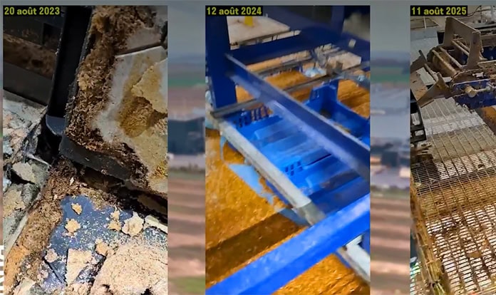 Ynsect case sparks debate over industrial-scale insect farming