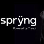 Ÿnsect launches insect-based Sprÿng for pet food