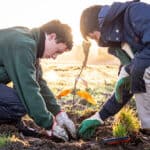 Ÿnsect launches regenerative agricultural project TerrHa 2040