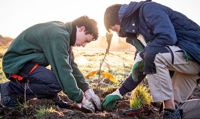 Ÿnsect launches regenerative agricultural project TerrHa 2040