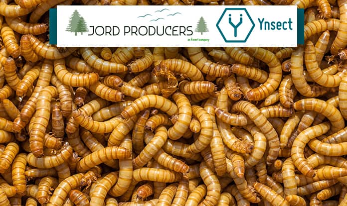 Ÿnsect opens first mealworm farm in US, enters premium chicken feed market