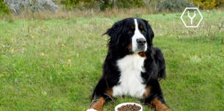 Ÿnsect receives approval to commercialize mealworms in US