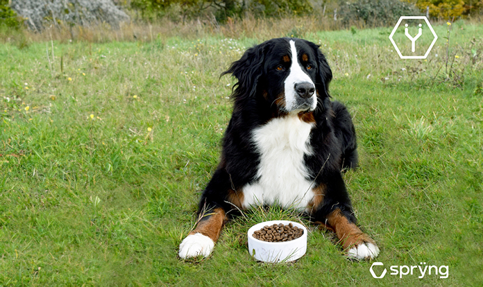 Ÿnsect receives approval to commercialize mealworms in US