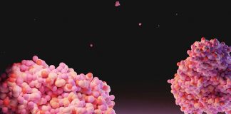 Zenfold and Ginkgo collaborate to enable veterinary active ingredient development