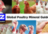 Zinpro launches guide to re-evaluate trace mineral nutrition for poultry