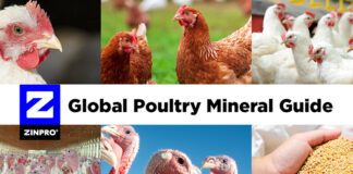 Zinpro launches guide to re-evaluate trace mineral nutrition for poultry