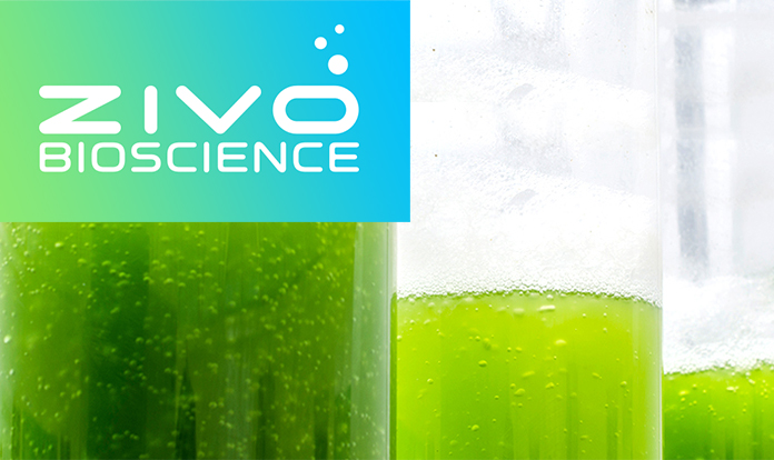 Zivo Bioscience explains new trial results on its non-antibiotic product