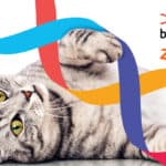 Zoetis to acquire petcare genetics company Basepaws