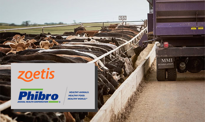 Zoetis to sell MFA portfolio to Phibro Animal Health