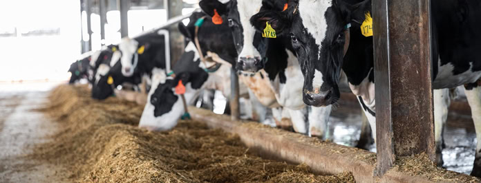 Transforming livestock nutrition for performance and sustainability