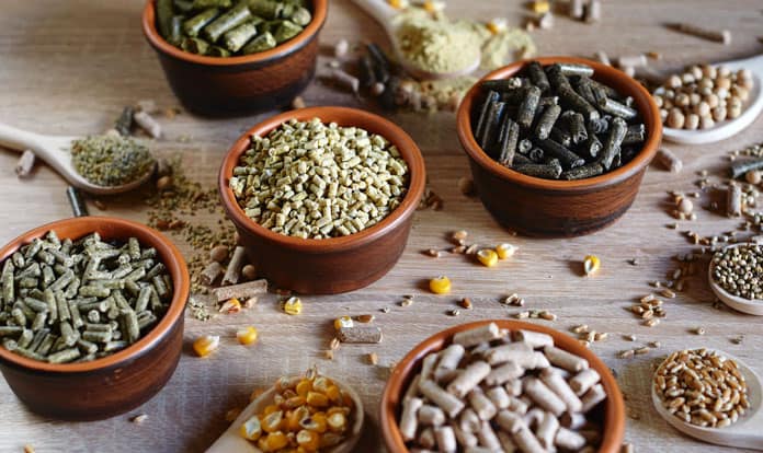 Global Compound Feed Industry and Trends