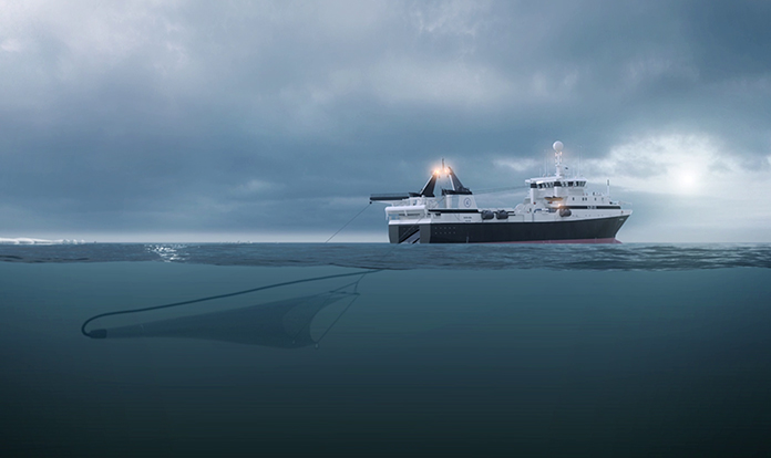 New research: Antarctic krill fishery is the cleanest fishery in the world