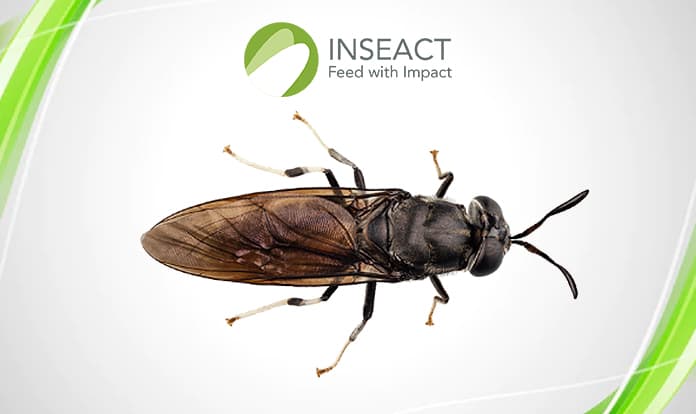 INSEACT launches Singapore’s largest insect protein facilities 