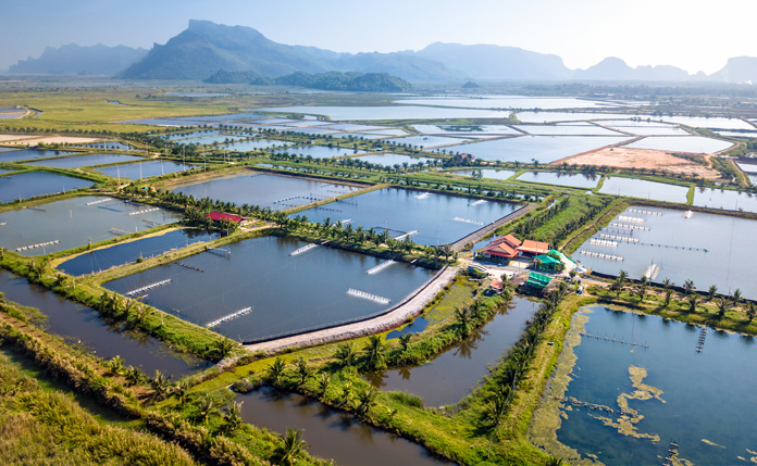 Asia-Pacific Animal Feed Market