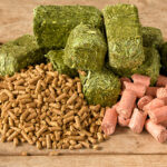 World Compound Feed Market