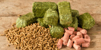 World Compound Feed Market