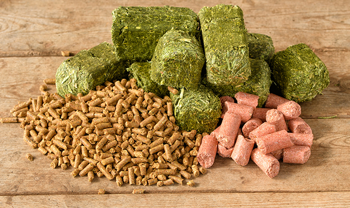 World Compound Feed Market