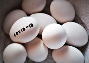 Covid-19 and Its Effect on The Feed Sector