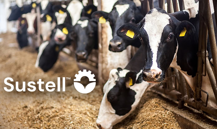 dsm-firmenich and Bayer partner for animal protein footprinting