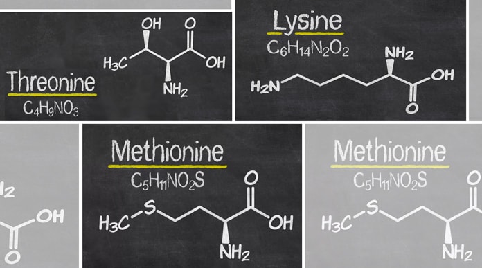 Global Feed Amino Acids Market