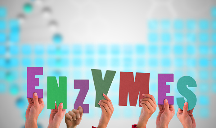 Global Feed Enzymes Market