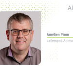 feed formulation strategies to combat heat stress in lactating cows