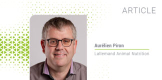 feed formulation strategies to combat heat stress in lactating cows