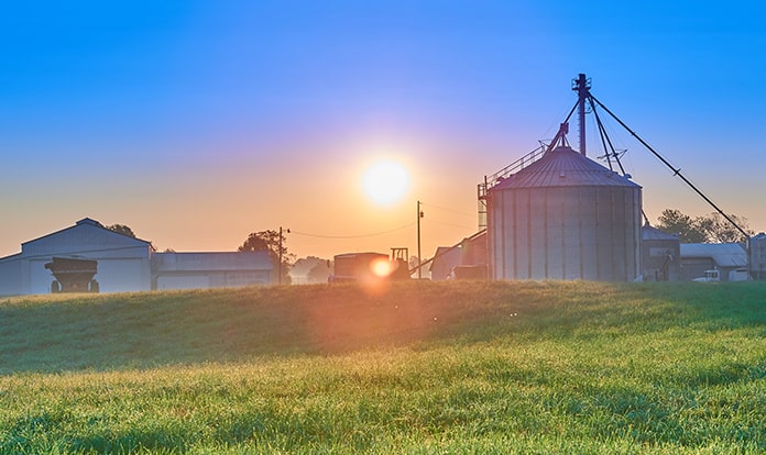 Global Feed Processing Market and Trends