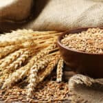 WHEAT & 2021 EXPECTATIONS