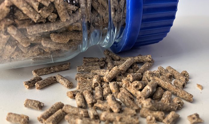 Global Feed Preservatives Market