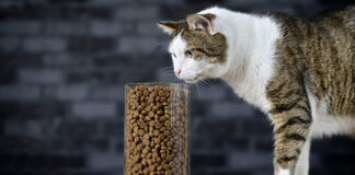 Global Pet Food Market