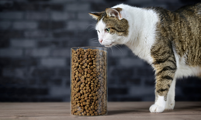 Global Pet Food
Market