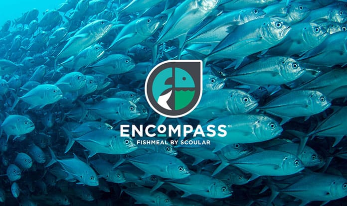 Scoular unveils Encompass: new brand for its global fishmeal business