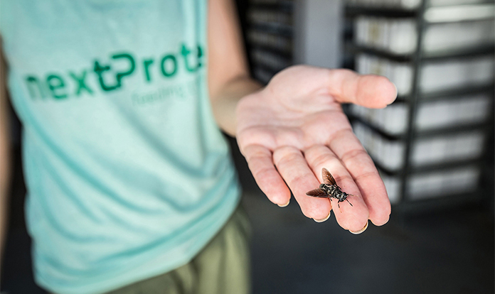 nextProtein secures €18M for insect protein production