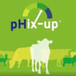 pHix-up app, a new tool for rumen acidity management