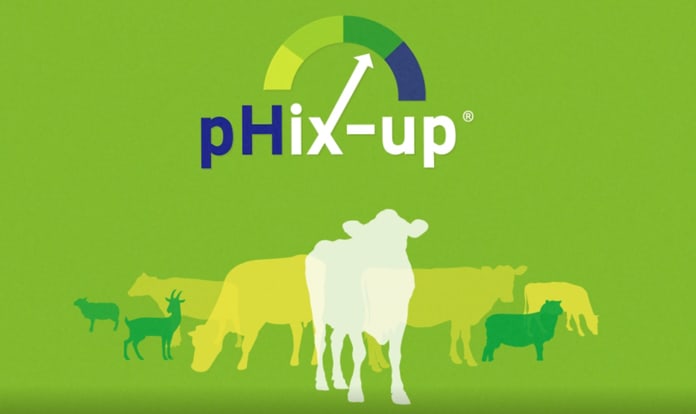 pHix-up app, a new tool for rumen acidity management