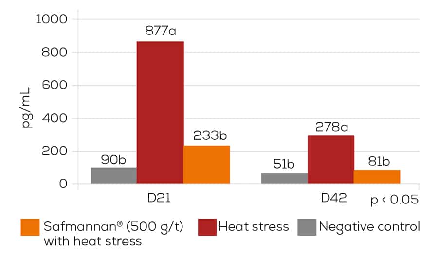 impact of heat stress