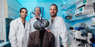 Simple, sustainable and accessible insect farming for everyone - FreezeM