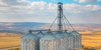 Feed safety culture and quality assurance strategies preserve and protect grain