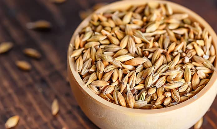 Barley & 2021 EXPECTATIONS