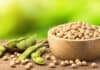Feed Raw Materials: SOYBEAN & 2021 EXPECTATIONS