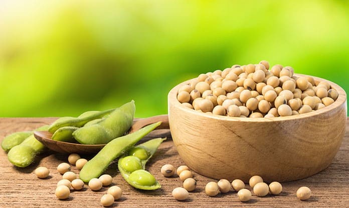Feed Raw Materials: SOYBEAN & 2021 EXPECTATIONS