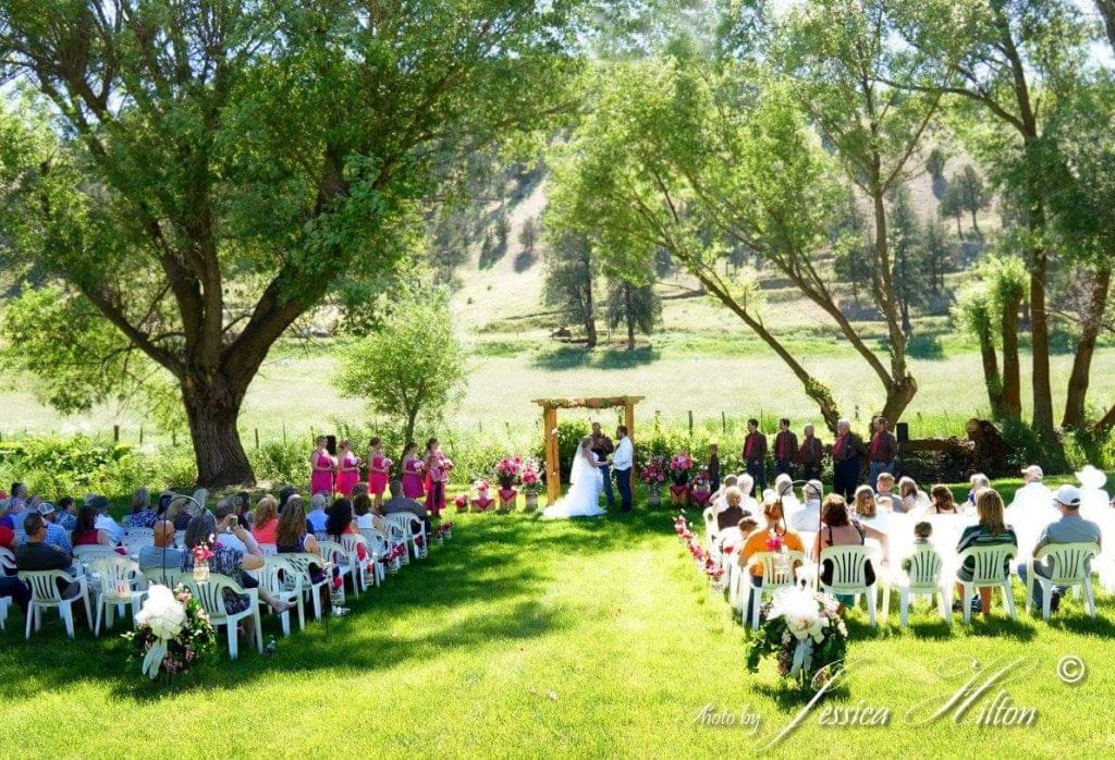 Wedding ceremony outdoors with guests seated on white chairs under large trees, vibrant green grass,.