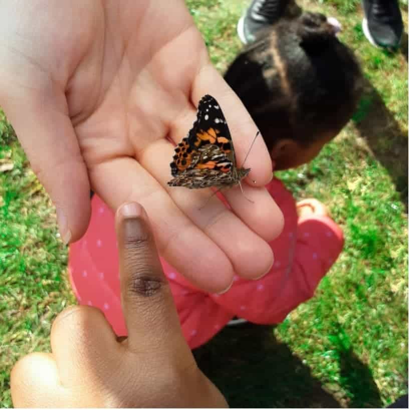 Butterfly resting on a child's hand in a garden, close-up of butterfly details, children observing and touching nature, outdoor activity focusing on insects and wildlife, capturing a moment of curiosity and learning in nature.