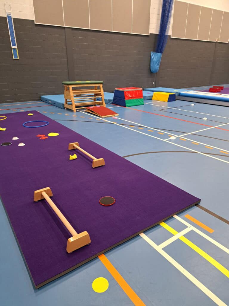 Balance therapy equipment set up in a gymnasium for children’s physical activities and coordination exercises.