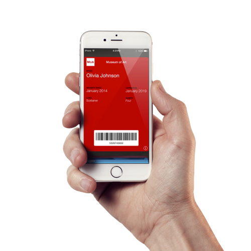 Holding Electronic Member Card